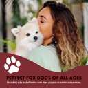 Liquid-Vet Immune Support for Dogs Antioxidant Protection & Gut Health Inulin, Beta-Glucan & Omega-3s / Fish Oil & More! - Made for Picky Eaters