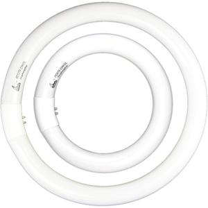 FC8T9 22W and FC12T9 32W Daylight Set , Round Fluorescent Bulb 8 inch T9 22 Watts & Circular Light Bulbs 12 inch 32 Watts kit, Circline Kitchen and Bath Fluorescent Lamp, CRI 80, DL 6500K, G10q Prong
