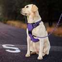 IVY&LANE No Pull Dog Harness for Small Dogs, Dog Vest Harness with Leash, Safety Belt and Storage Strap, Fully Adjustable Harness, 360 Reflective Strip, Soft Handle (Purple, XS)