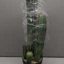 Artificial Cactus Fake Cacti 24" Faux Potted Cactus Plants for Home Store Office Decoration