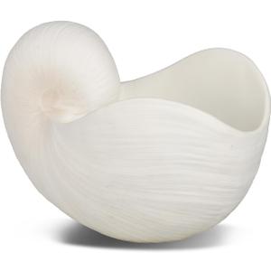 Braxio Modern Home Decor Sea Shell - Beach Themed Statue Resin Conch Shape Dish for Keys, Rings, or Succulent Planter - Coastal Decorative Bowls for Bathroom, Living Room, 12.25 x 6.25 x 8.25 Inch