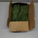 Hananona 50 Pcs Artificial Pine Branches Green Plants Pine Needles DIY Accessories for Garland Wreath Christmas and Home Garden Decor (50, Green)