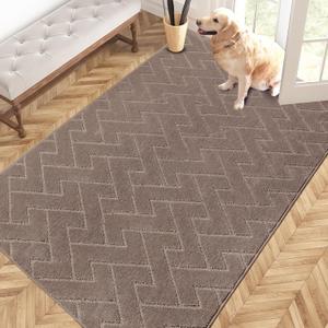 PURRUGS Easy Care Area Rug 4ft x 6ft, Non-Slip Machine Washable Entry Rug, Stain Resistant Accent Rug for Hallway, Bedroom, Living Room and Mudroom, Grayish Brown (48" x 72")