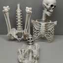 CAMIRUS 5.4ft Skeleton Halloween Decoration, Life Full Size Skeleton with Dog Skeleton, Posable Human Skeletons Realistic Plastic Bones for Halloween Haunted House Scary Decor