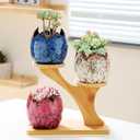 YYW Succulent Planter Pots Indoor Ceramic Decoration Cactus Small Flower Plant Pot with Tree Tier Bamboo Stand for Garden Kitchen Home Office Decor Plant Lovers Gifts 3Pcs