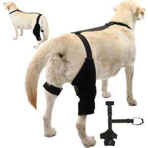 Dog Knee Brace Dog ACL Brace Hind Leg Dog ACL Knee Brace with Extra Collar and Support Treats Kneecap Dislocation Arthritis (Black, M)