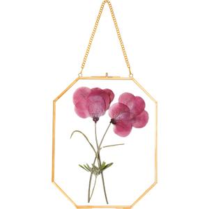 Pressed Flower Frames, Glass Floating Frames for Display Dried Plant Specimen Picture, Hanging Brass Photo Frame with Chain, Double Clear Glass, Vintage Wall Decor, Octagon, Gold, 8x10 Inches