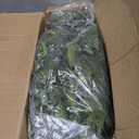 9FT Eucalyptus Cedar Pine Cypress Garland for Mantle Stairs Wall Table Indoor Outdoor Christmas Decor Xmas Decorations