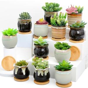 Remerry 12 Pcs Small Succulent Pots Bulk with Drainage Assorted 3.5 Inch Mini Ceramic Succulent Planters Pot with Coaster Bamboo Plant Tray Planting Pots for Home Office Garden