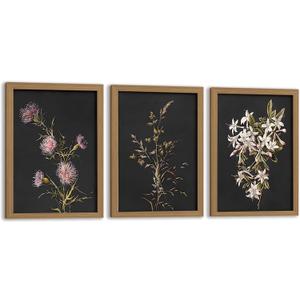 Framed 3Pcs Dark Botanical Wall Art Vintage Floral Prints 16x24 Inch