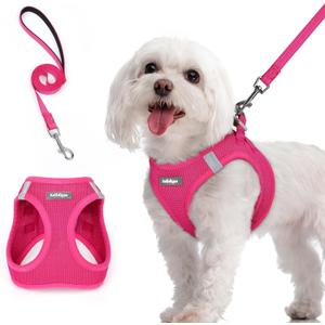 rabbitgoo Dog Harness Small Sized and Leash Set, Step in Soft Light Puppy Vest, Breathable Mesh Pet Harness, Reflective for Safe Easy Walking, Rose Red M (M (Chest: 16 - 18.5"))