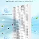 6 Pack Filter Replacement Compatible with Momcozy, Grownsy, Papablic, MOMFANN Bottle Washer, High Efficiency Filtration, Safe Bottle Cleaning Parts
