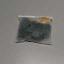 Foxiny Sexy Mini Skirt with G-String Floral Lace Sheer Bralette Lingerie Set 3 Piece Otufits Size XS