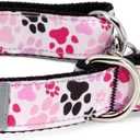 RC Pets 3/4" Martingale Training Collar, Small, Pitter Patter Pink (Small - 0.75" Width)