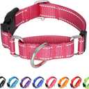 Martingale Collar for Dogs,Reflective Martingale Dog Collars with Quick Release Buckle,Adjustable Nylon No Pull Dog Collar for Walking Training (Red, Extra Large) (Medium)