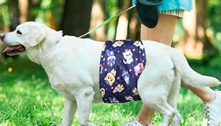 5 Pack Dog Diapers Male, Premium Belly Bands for Male Dogs, High Absorbing Male Dog Pee Wraps for Doggie in Incontinence or Excitable Urination and Training M