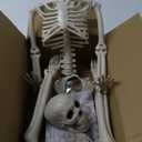 Halloween Skeleton Decorations,36" Posable Human Skeleton Decorations for Halloween Party Decor, Haunted House Props Indoor Outdoor Decoration