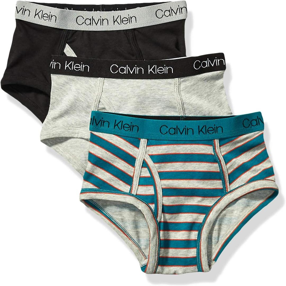 Calvin Klein Boys' Little Modern Cotton Assorted Briefs Underwear 3 Pack (X-Large, Sea Green Stripe/Heather Grey/Black)