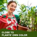 5 Pack Stackable Plant Support Stakes, Climbing Plant Support Structures for Monstera, Pothos, Philodendron Garden Plant Stakes for Indoor Outdoor Plants (Green)