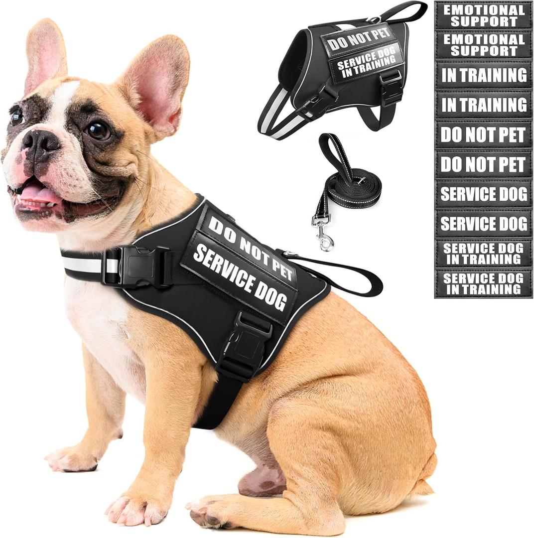 MOOGROU Service Dog Vest Harness and Leash Set+10 Patches, No Pull & Easy Walk Reflective Dog Harness with Soft Padded Handle for Training/Everyday, Fit Small/Medium/Large/Extra-Large Dogs(Black M)