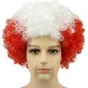 Afro Wig Kinky Curly Wigs Short Fluffy 2026 Sports Fans Funny Colorful Men Women Cosplay National Color Party Wigs