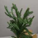 12PCS Norfolk Pine Stems, Christmas Greenery Stems - Artificial Faux Norfolk Pine Branches with Big Pinecones, Real Touch Evergreen Greenery for DIY Crafts, Indoor Outdoor Home Garden Vase Table Decor