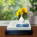 Decorative Books Set of 2 - Elegant Faux Books for Coffee Table with Metal Tassel Bookmark, Bookshelf Accents & Photo Keepsake Storage Box