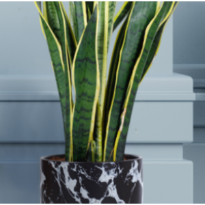 GJCR products 10 Inch Round Ceramic Planter with Tray, White Marble Finish, Indoor Plant Pot with Drainage Mesh and Scratch Pad