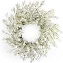 Summer Wreath for Front Door, 24 Inch White Cream Forsythia Summer Spring Wreath Blossom Cluster Flower Farmhouse on Grapevine for Christmas Festival Celebration Front Door Wall Window Hanging Dcor