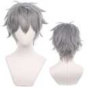 Grey Cosplay Wig for Anime with Short Straight Heat Resistant Fiber Synthetic for Halloween, Comic Con, Cosplay Show Wigs (Gray)
