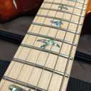 PRS SE Swamp Ash Special Electric Guitar, Vintage Sunburst with Gigbag