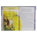 The Classic Children's Bible Storybook