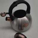 3.1 Quart Teal Whistling Tea Kettle for Stove Top, Food Grade Stainless Steel (Silver)