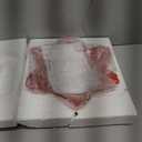 Outdoor Bird Bath Glass Birdbath Garden Birdfeeder with Metal Stake Red