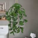 Large Fake Hanging Plants in Pot with Hook, 37" Artificial Hanging Monstera Albo Vines Plants, Fake Potted Greenery Plant for Room Wall Living Room Bathroom Kitchen, Big Faux Ivy Houseplants for Shelf