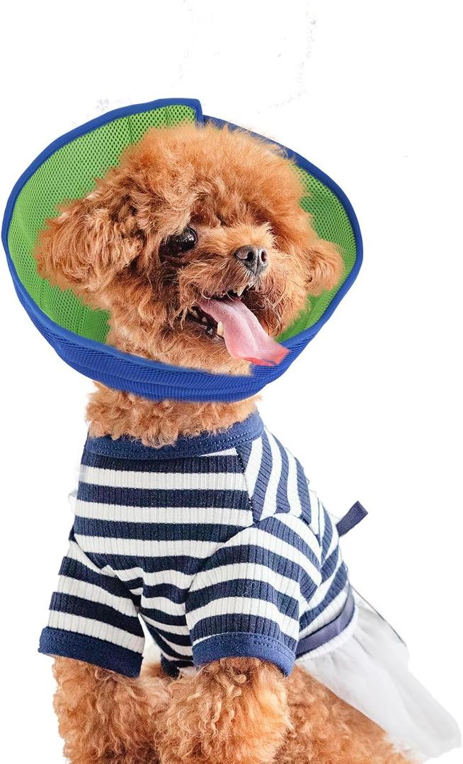 Inspack Soft Dog Cone Collar Alternative, E Cones for Medium Small Dogs/Cat to Stop Licking After Surgery, Neuter Recovery Ecollars of Shame Alternatives, Comfortable Paws Comfy Elizabethan Collars (M ( Fit 11-20 lb Dog))