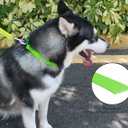 2 x Waterproof Dog Collars,Easy Clean Collar,Adjustable Dog Collars for Small,Medium, Large Dogs(Green, M)