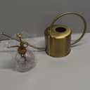 Remiawy Watering Can Indoor Outdoor Stainless Steel Watering Cans for House Plants Long Spout Water Can for Succulent Bonsai Garden Flower(40oz/1300ml)