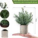 2 Pack Small Fake Plants Rosemary Potted Artificial Plants for Shelf Desk Home Bathroom Farmhouse Room Coffee Table Decor (Green)