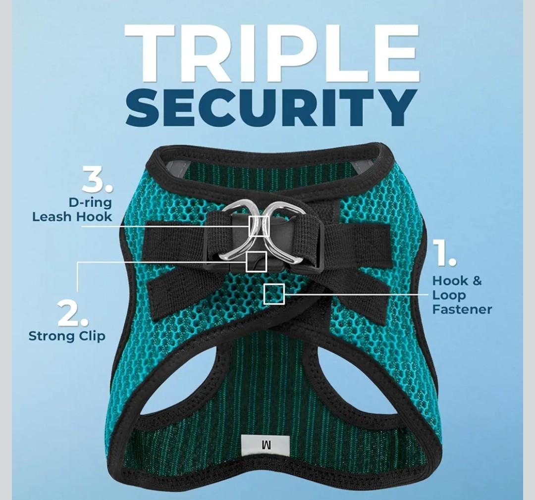 Voyager Step-in Air Dog Harness - All Weather Mesh, Reflective, No Pull Harness for Small, Medium Dogs, Cats - Secure with Hook & Loop Fastener, Buckle, Double D-Rings - Turquoise 2-Tone, XL Set of 1