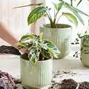 LE TAUCI Fluted Ceramic Planters Set of 3  8.3/7 / 5.7 in Sage Green Reactive Cylinder Indoor Plant Pots with Drainage Plug & Mesh, Glossy Stoneware Flower Pots for Succulents Herbs