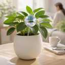 Soilagua Extra-Thick Clear Glass Plant Watering Globes, Rainbow Gradient Self Watering Globes, Automatic Plant Waterer, Self Watering Planter Insert Spikes Devices for Everyday or Vacation Use, 2-Pack