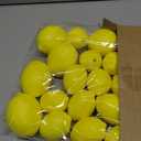 24 Pcs Yellow Fake Lemons 24 Pcs Faux Lemon Leaves Artificial Fruits Lifelike Simulation Fake Lemon Decor for Home Kitchen Table Cabinet Holiday Party Photography Props