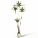 Crasraye 5.2ft Dracaena Marginata Artificial Plant, 4-Head Faux Dragon Tree