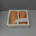 Orceler 4 Inch Terracotta Pots with Saucer - 5 Pack Small Clay Plant Pots with Drainage Holes, Flower Pots with Tray, Terra Cotta Pots for Indoor Outdoor Plants, Crafts, Wedding Favor