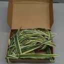 2 Packs Artificial Spider Plant Large 23.6In Fake Greenery Plants UV Resistant Outside Faux Plants Bushes for Indoor Table Outdoor Planter Decor (2)