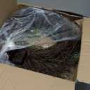 22 Inch Christmas Wreath with Hanger, Christmas Wreaths for Front Door with Red White Berry Pine Cone Xmas Wreaths for Front Door Wall Home Outdoor Decor