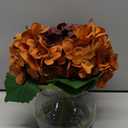 Hollyone Fall Hydrangea Artificial Flowers for Decoration with Glass Vase Dark Red Orange Autumn Silk Faux Flower Arrangements with Faux Water Fake Bouquet Table Centerpiece Fall Decorations for Home