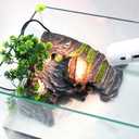 Reptile Box Shelter Terrarium Hideout Caves Turtle Ramp Basking Platform Habitat Decor Humidify Hide Cave Resin Rock