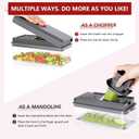 Vegetable Chopper, Onion Chopper Dicer, Mandoline Slicer, Food Chopper with Container, Vegetable Cutter for Salad Potato Carrot Garlic9 Blades, Grey (Gray)
